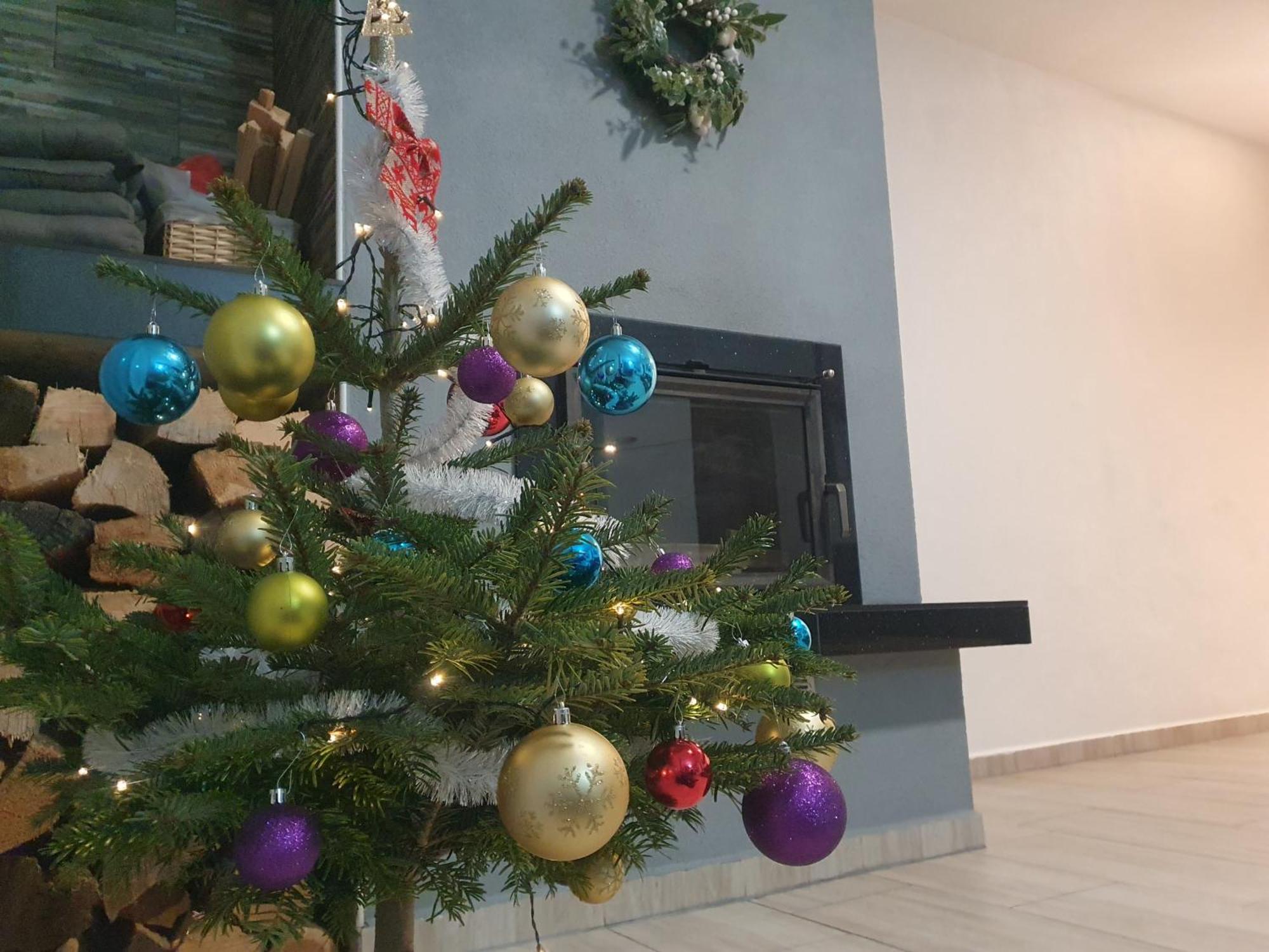 Apartmany Lipnoczech ฟริมบูร์ก ภายนอก รูปภาพ